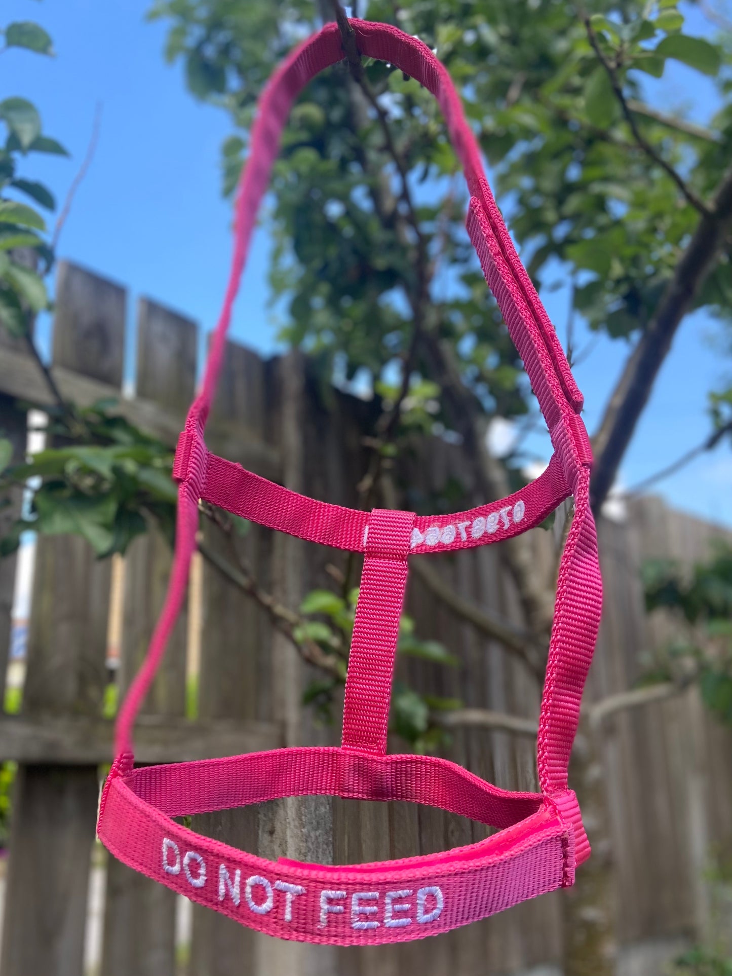 Rhinegold (Metal Free) Field Safe Headcollar