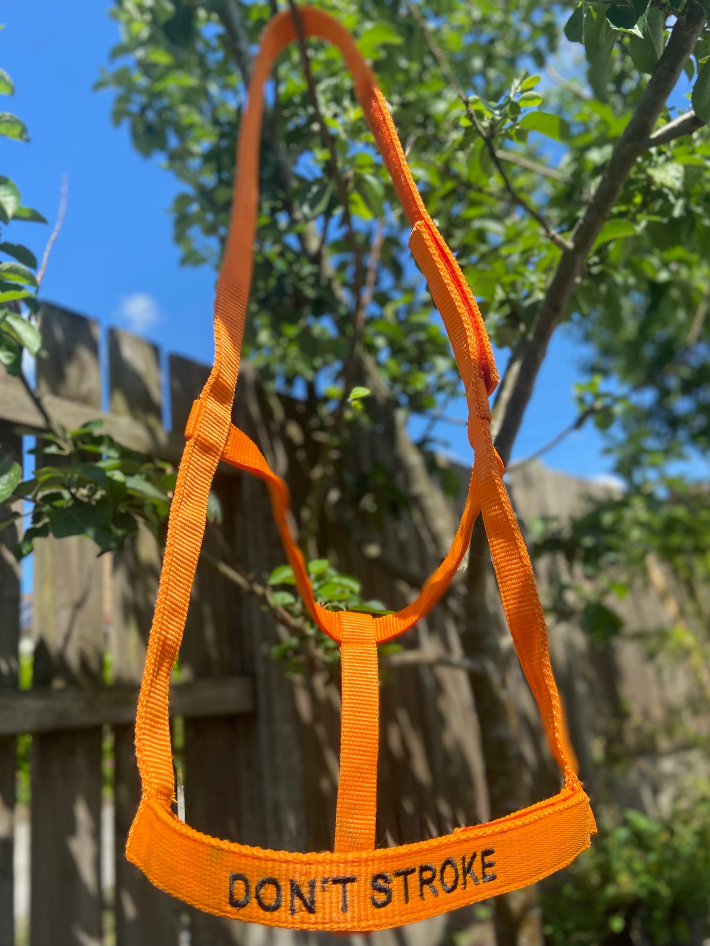 Rhinegold (Metal Free) Field Safe Headcollar