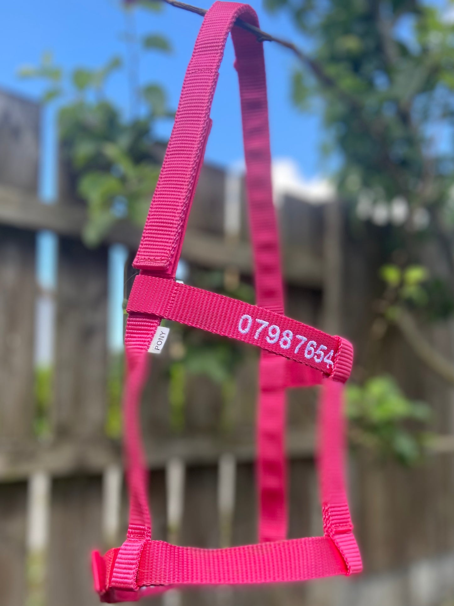 Rhinegold (Metal Free) Field Safe Headcollar